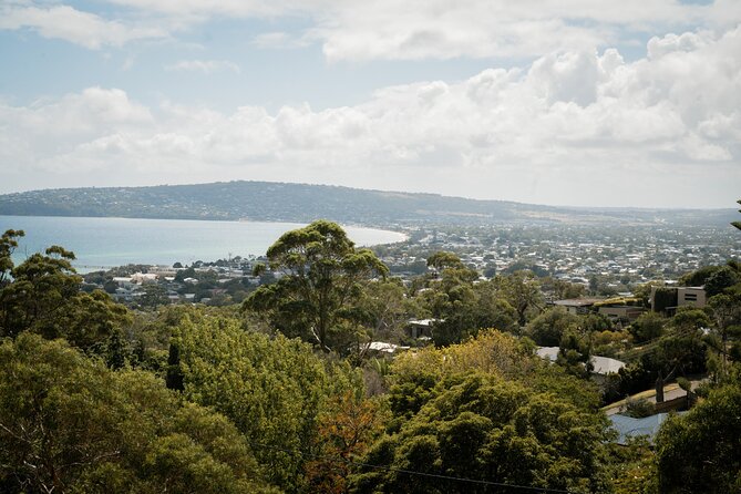 Mornington Peninsula Small Group Thermal Springs w/ Lunch & Wine - Green Olive Estate turns lunch into the main meal