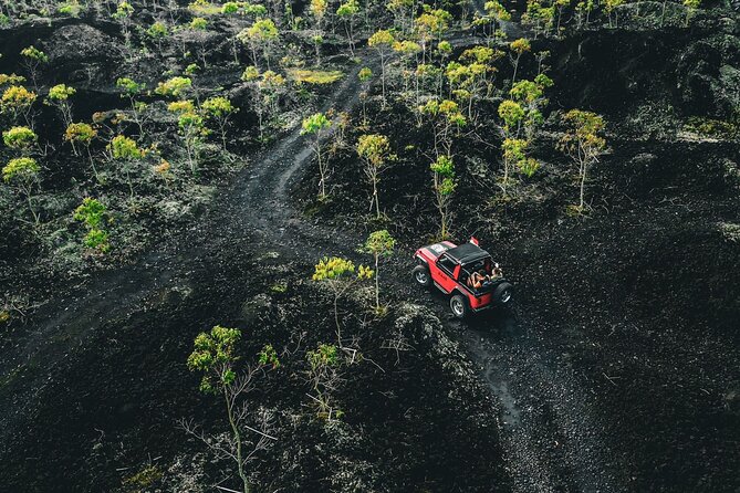 Mount Batur 4WD Jeep, Breakfast and Hot Spring All Inclusive - Sunrise begins with a Mount Batur Jeep ride