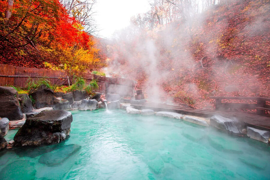 Mount Fuji - Hakone & Onsen Full Day Private Tour - Why a private car helps in Hakone