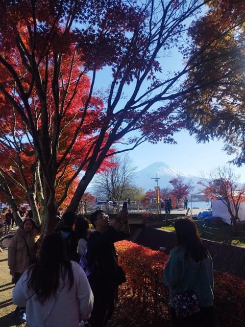 Mount Fuji - Hakone & Onsen Full Day Private Tour - What the $432 price really covers