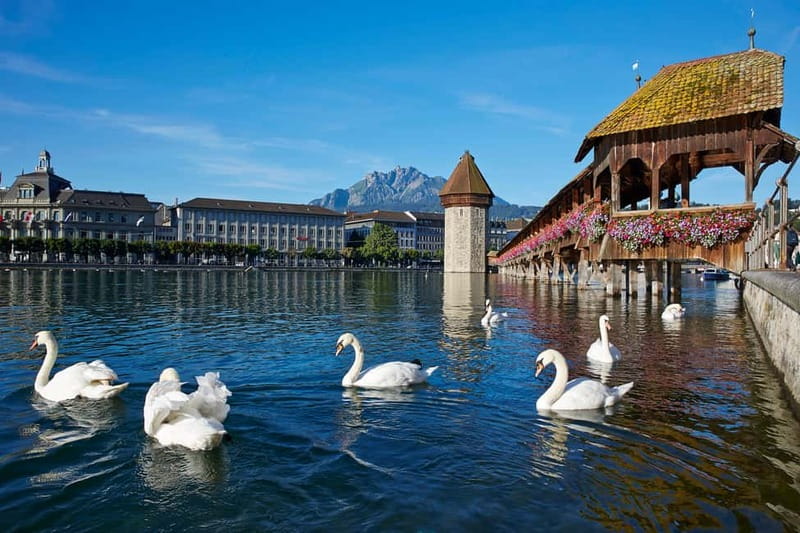 Mount Rigi: 2-Day Wellness Experience from Zurich - The guide arrangement and what you need to manage