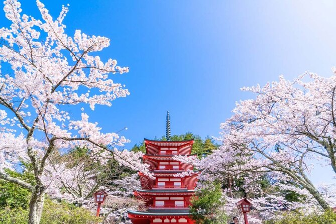 Mt. Fuji 5th, Oshino Hakkai, Onsen Full-Day Trip From Tokyo - Choosing between an onsen and Gotemba shopping