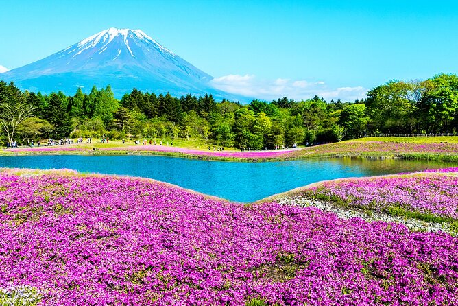 Mt. Fuji 5th, Oshino Hakkai, Onsen Full-Day Trip From Tokyo - Arakurayama Sengen Park in the winter season