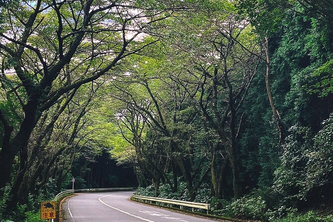 Mt. Fuji, Hakone Private Tour from Tokyo - Onsen, Arts and Nature - Hakone Shrine and Lake Ashi bring history to the water