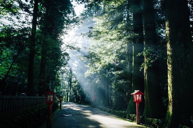 Mt. Fuji, Hakone Private Tour from Tokyo - Onsen, Arts and Nature - The Ashinoko Skyline adds another scenic road