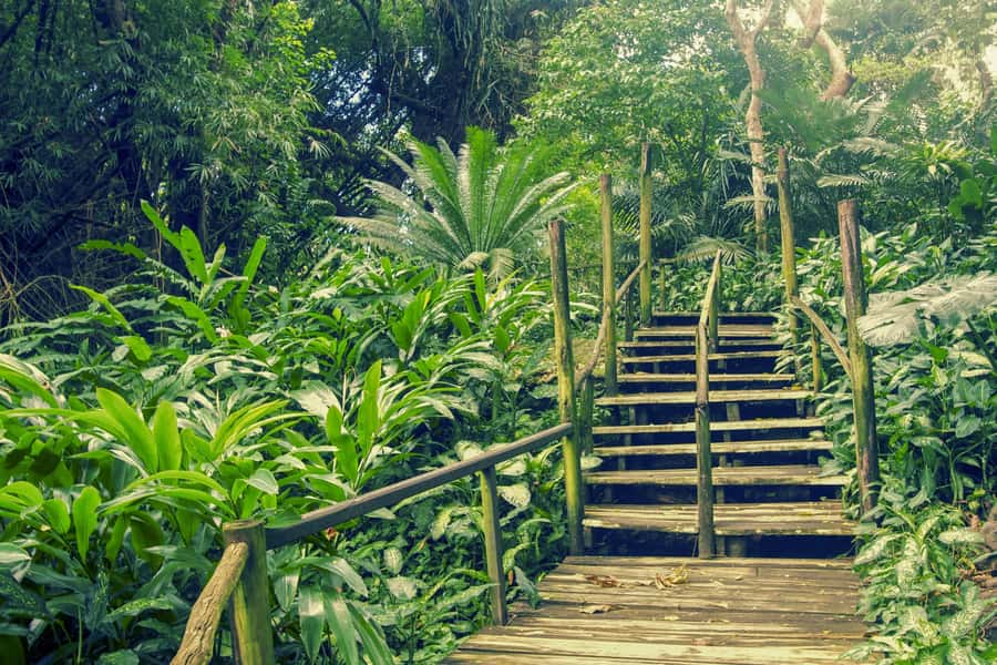 Nadi: Garden Village Hot Spring & Temple Highlights Tour - Namaka Market and Fiji’s everyday produce