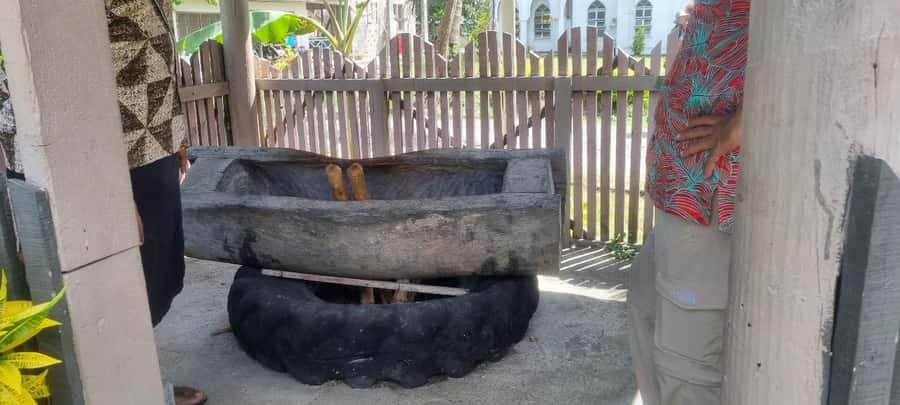 Nadi: Garden Village Hot Spring & Temple Highlights Tour - Who should book this Nadi tour?