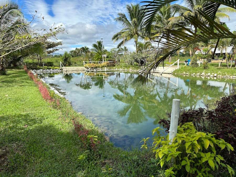 Nadi: Mud Pool and Hot Spring Private Tour - Why the Sabeto mud pool makes a good half-day outing