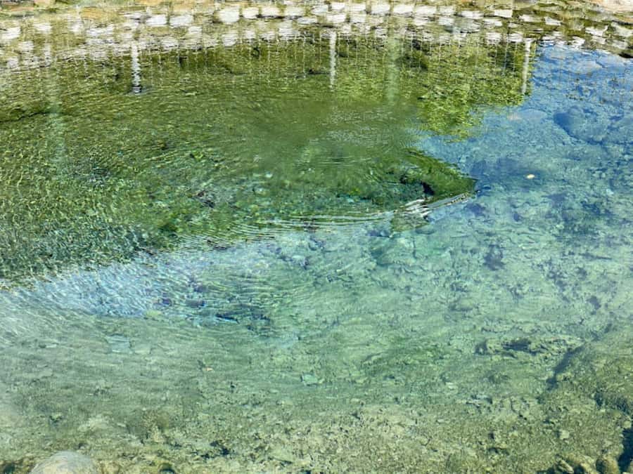 Nadi: Mud Pool and Hot Spring Private Tour - Who will enjoy this private Fiji tour