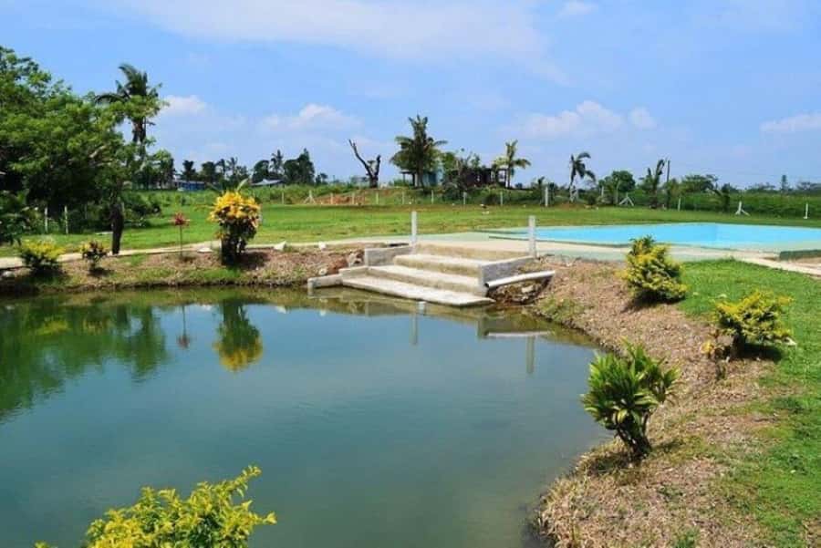 Nadi: Mud Pool and Hot Spring Private Tour - FAQ