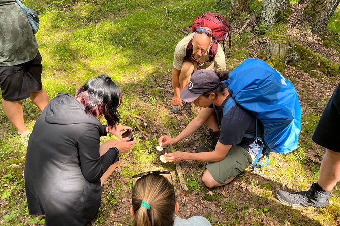 National Park Hike & Finnish Smoke Sauna Experience with Campfire Lunch - What the Guides Add to the Day
