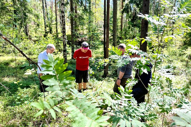 National Park Hike & Finnish Smoke Sauna Experience with Campfire Lunch - Who Will Enjoy This Helsinki Outing