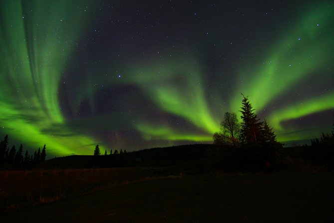 Northern Lights and Chena Hot Springs Night Tour from Fairbanks - The 2am return to Fairbanks