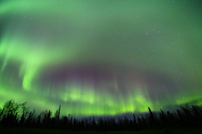 Northern Lights and Chena Hot Springs Night Tour from Fairbanks - Is $240 a fair price?