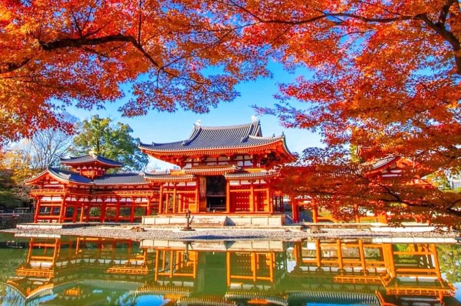 Osaka: Nara and Uji Day Trip with Deer Park and Hot Spring - At a glance: what makes this day trip useful