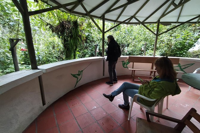 Papallacta Hot Springs & Guango Birding Reserve Private Tour - Guango Lodge and the cloud-forest walk