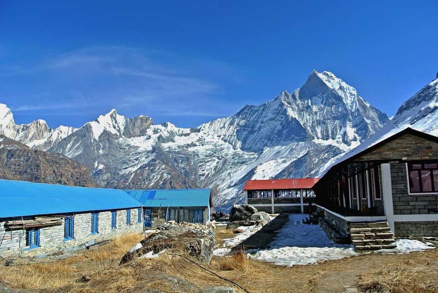 Pokhara: 5 Day Annapurna Base Camp Trek & Natural Hot Spring - What This Five-Day Annapurna Trek Is Really Like