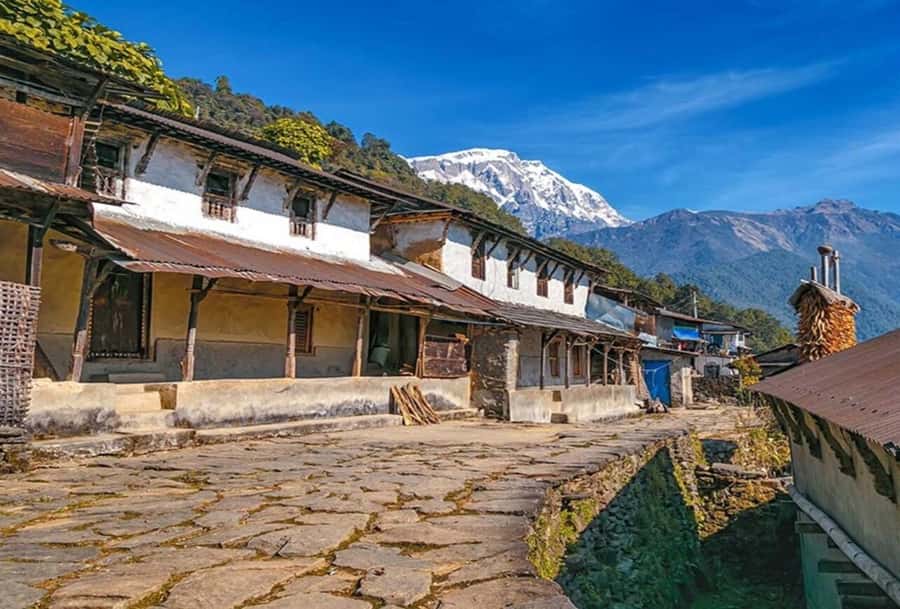 Pokhara: 5 Day Annapurna Base Camp Trek & Natural Hot Spring - Difficulty, Altitude, and Seasonal Conditions