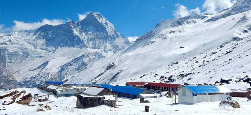 Pokhara: 7-Day Annapurna Base Camp Trek & Natural Hot Spring - Day three: Chomrong to Himalaya through forest