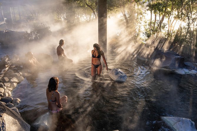 Polynesian Spa Rotorua: Deluxe Lake Spa Hot Spring Bathing - Is the $49.61 price good value?