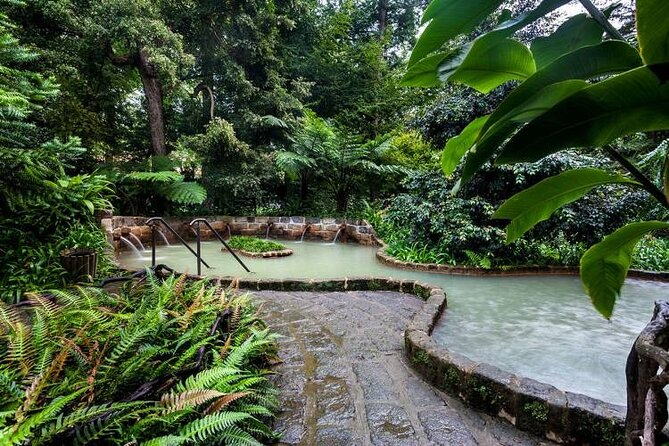 Private Guided Tour to Furnas and thermal baths. - Santa Iria and São Miguel’s north coast