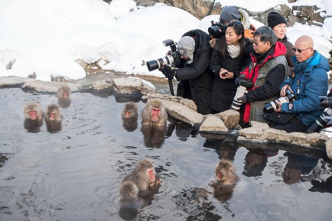 Private Nagano 1-Day Tour:Snow Monkeys,Zenko-ji,Obuse,Sake,Onsen - Hokusai Museum and an artistic change of pace