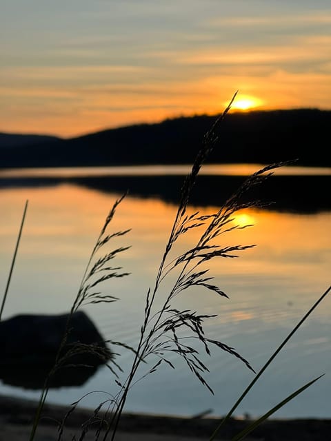 Private Traditional Sauna, Ice Dip and Dinner in the Wild - A Private Group Makes a Difference