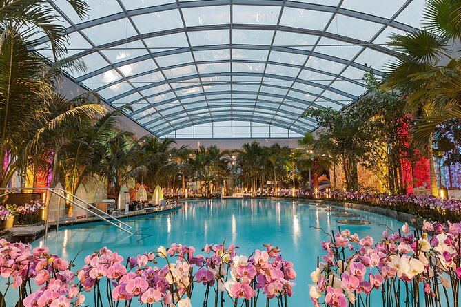 Relax and Fun at Thermal Spa Bucharest (Admission Ticket) - Why Therme Bucharest Works Best as a Half-Day Escape