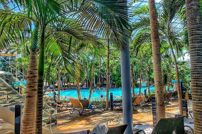 Relax and Fun at Thermal Spa Bucharest (Admission Ticket) - Palm: A Tropical Pool Under Glass