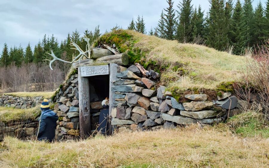 Reykjavik: Lava Cave, Hot Springs, Horses & Waterfalls Tour - Transport, group size, and the pace of the day