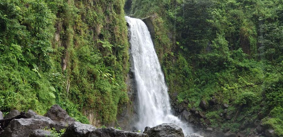 Roseau: Titou Gorge, Hot Spring, Falls & Champagne Reef Tour - Why this six-hour route works so well