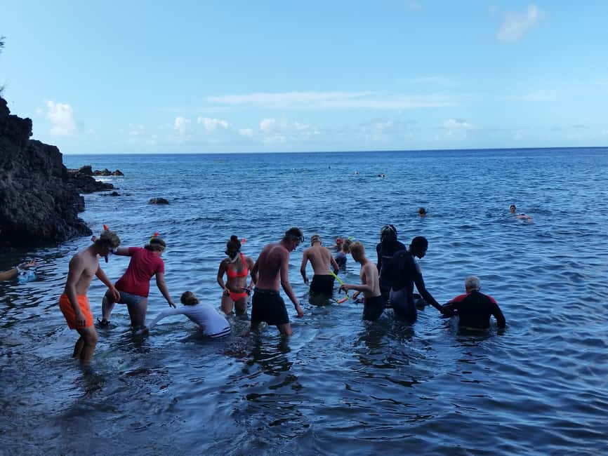 Roseau: Titou Gorge, Hot Spring, Falls & Champagne Reef Tour - Transport, group size, and cruise timing