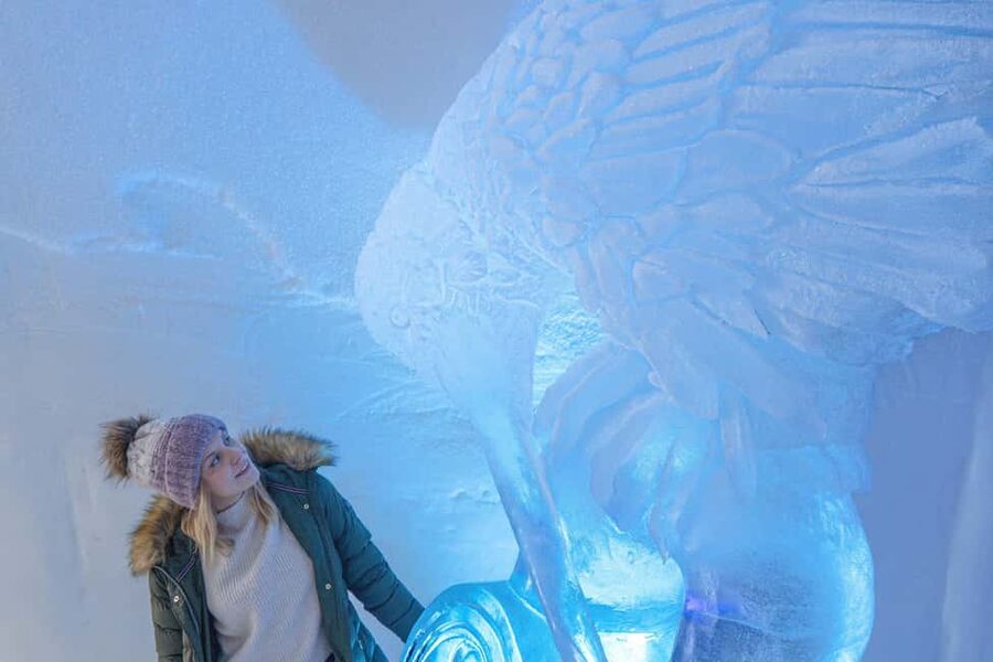 Rovaniemi: Arctic SnowHotel Tour and Snow Sauna Experience - Practical advice before you go