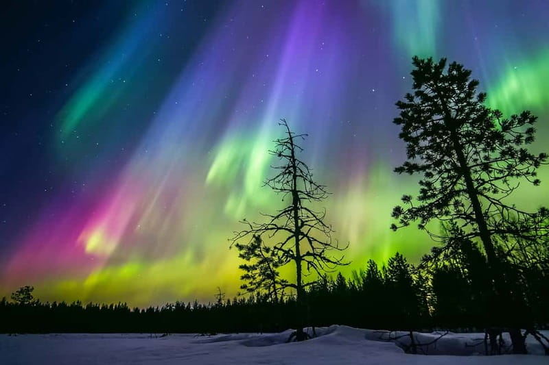 Rovaniemi: Lakeside Private Sauna with Aurora Borealis - Meeting at Maakuntakatu 29 to 31