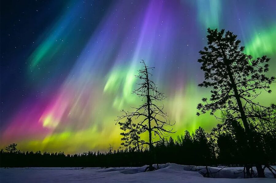 Rovaniemi: Northern Lights Trip with Arctic Sauna & Jacuzzi - What to Bring and What to Expect on Arrival