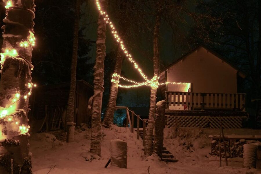 Rovaniemi: Traditional Sauna and Ice Swimming Experience - Key points to know before you book