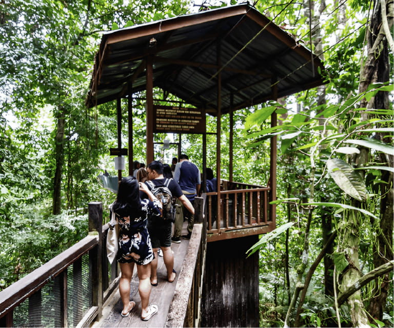 Sabah: Kinabalu Park, Hot Springs, and Cow Farm Day Tour - Desa Cattle Dairy Farm, milk, and mountain air