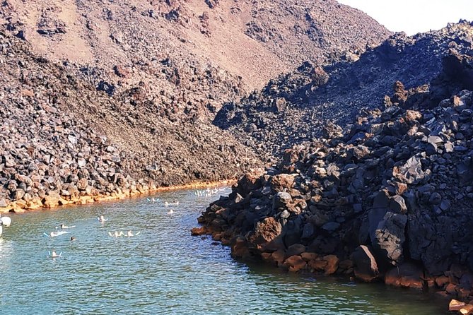 Santorini Volcanic Islands Cruise: Volcano, Hot Springs and Thirassia - Warm water at Palea Kameni