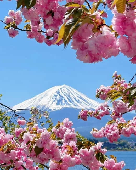 [Seasonal Limited] Mt. Fuji 5th Station &Hot Spring Day Tour - Weather, crowds, and the Fuji gamble