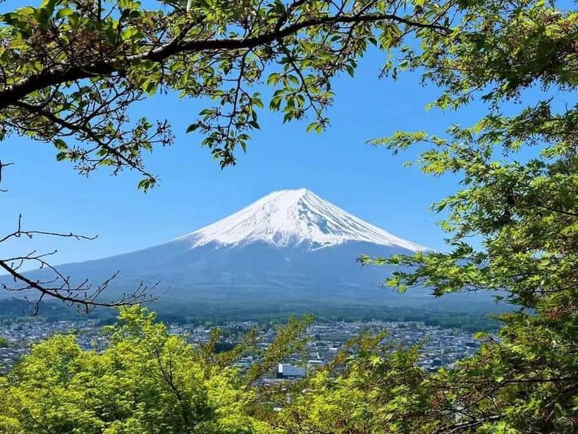 [Seasonal Limited] Mt. Fuji 5th Station &Hot Spring Day Tour - Should you book the Mt. Fuji and onsen day trip?