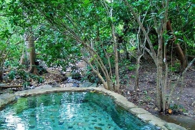Shaded Hot Spring, Massage and Mex Grill in Puerto Vallarta - Fresh produce and tortillas in the countryside