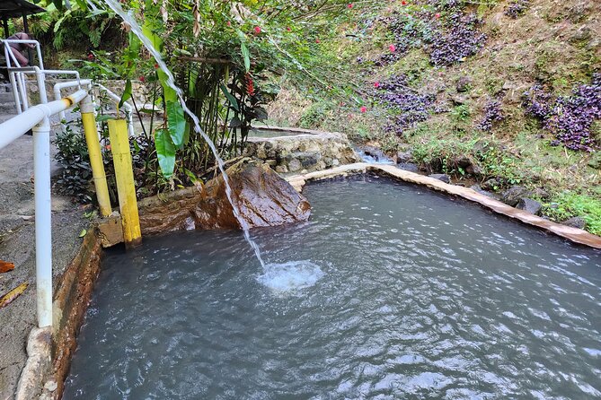 Shoreside Fun-Day with Titou Gorge, Hot Springs & Champagne Reef - A full day built around Dominica’s water
