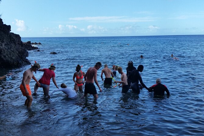 Shoreside Fun-Day with Titou Gorge, Hot Springs & Champagne Reef - What the $115 price really covers