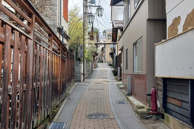 Snow Monkey Park, Soba Lunch and Shibu Onsen Tour - Who will enjoy this tour most?