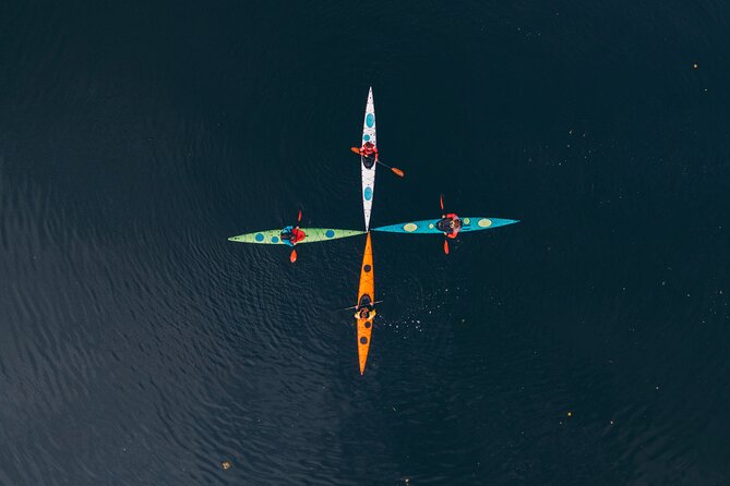 Stockholm: Winter Kayaking, Swedish Fika and hot Sauna Experience - Why winter kayaking works so well here