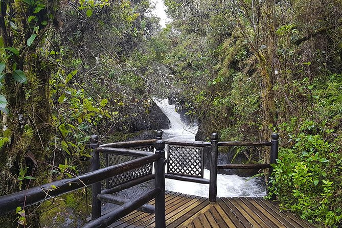 Termas de Papallacta Hot Springs full day tour from Quito - Why Papallacta makes a fine Quito escape