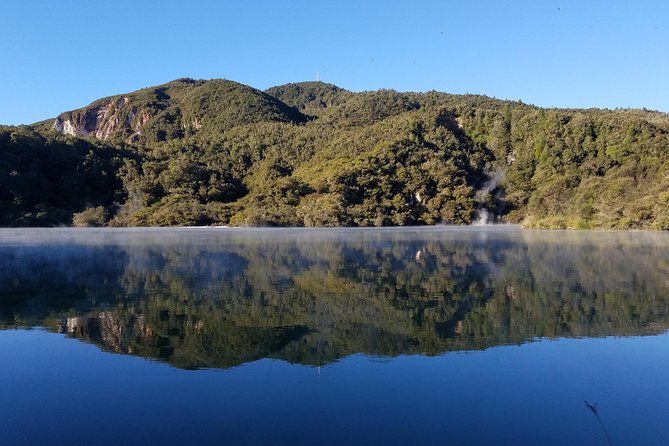 Thermal Path Tour - A practical way to see Rotorua’s geothermal side