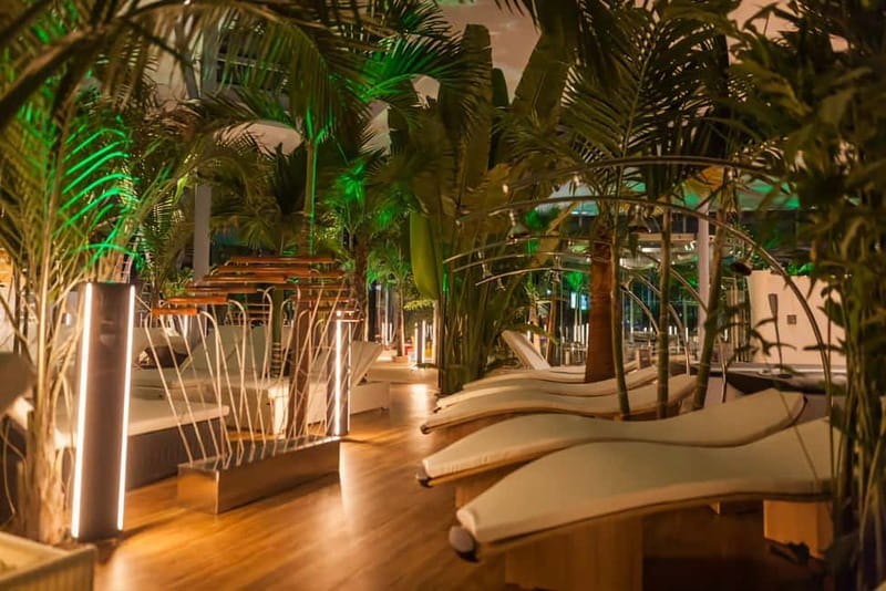 Therme:Spa Day at the biggest oasis of Relaxation《Bucharest》 - Meeting at The Grand Hotel