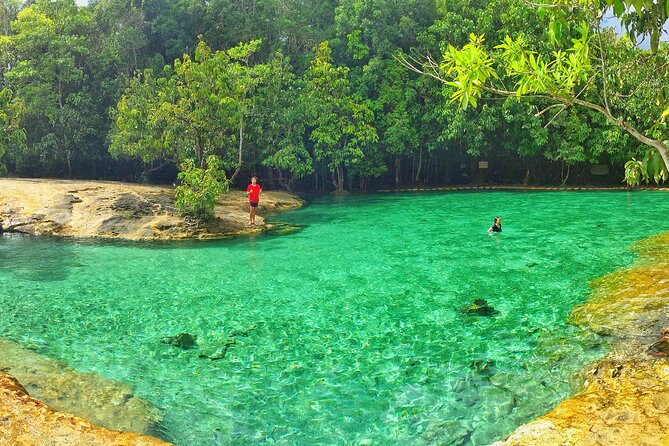 Tiger Cave Temple, Emerald Pool & Hot Springs Tour from Krabi - Emerald Pool: cool water beneath the forest