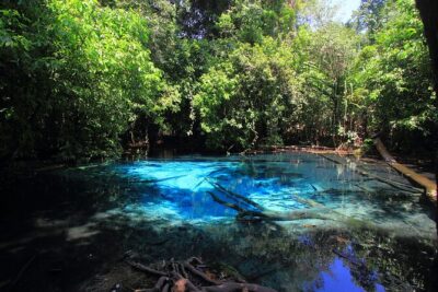 Tiger Cave Temple, Emerald Pool & Hot Springs Tour from Krabi